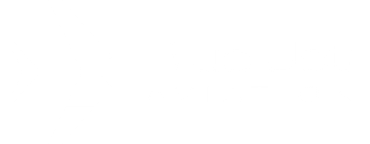 Blue Jet Logo
